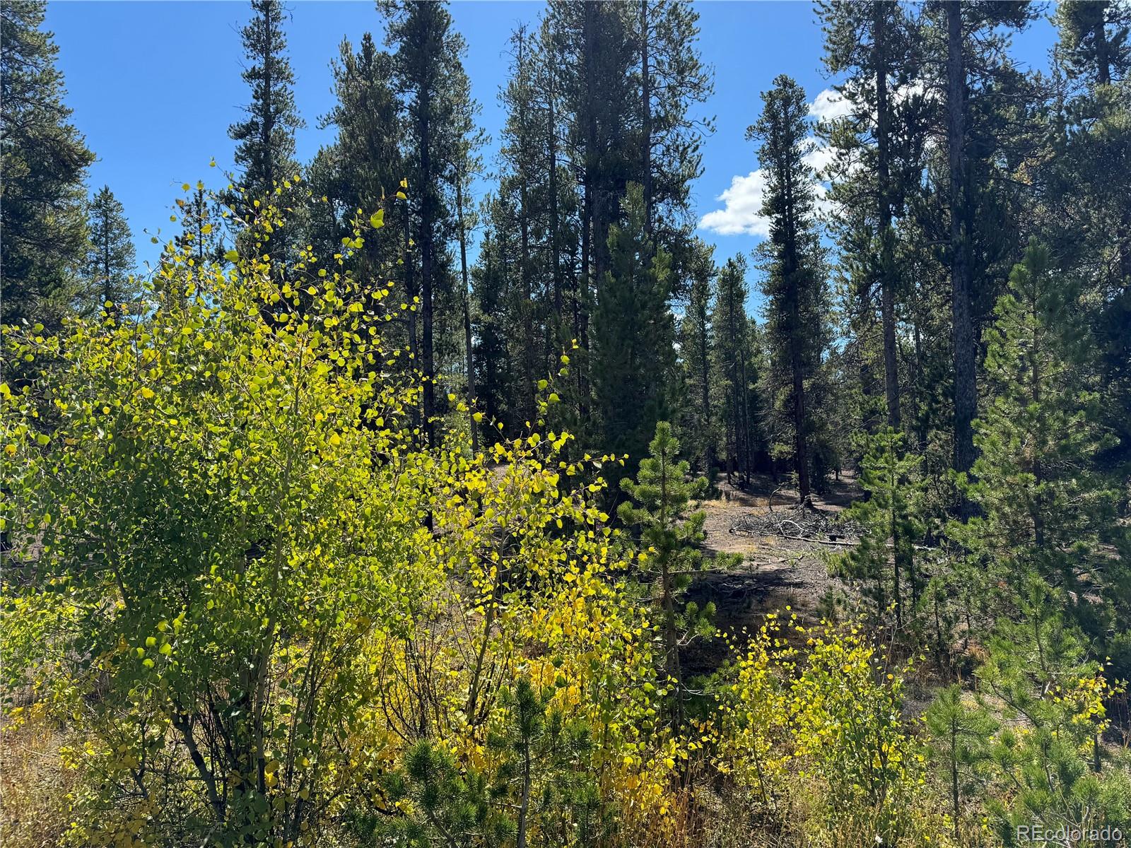 517 Augusta Drive Leadville CO 80461