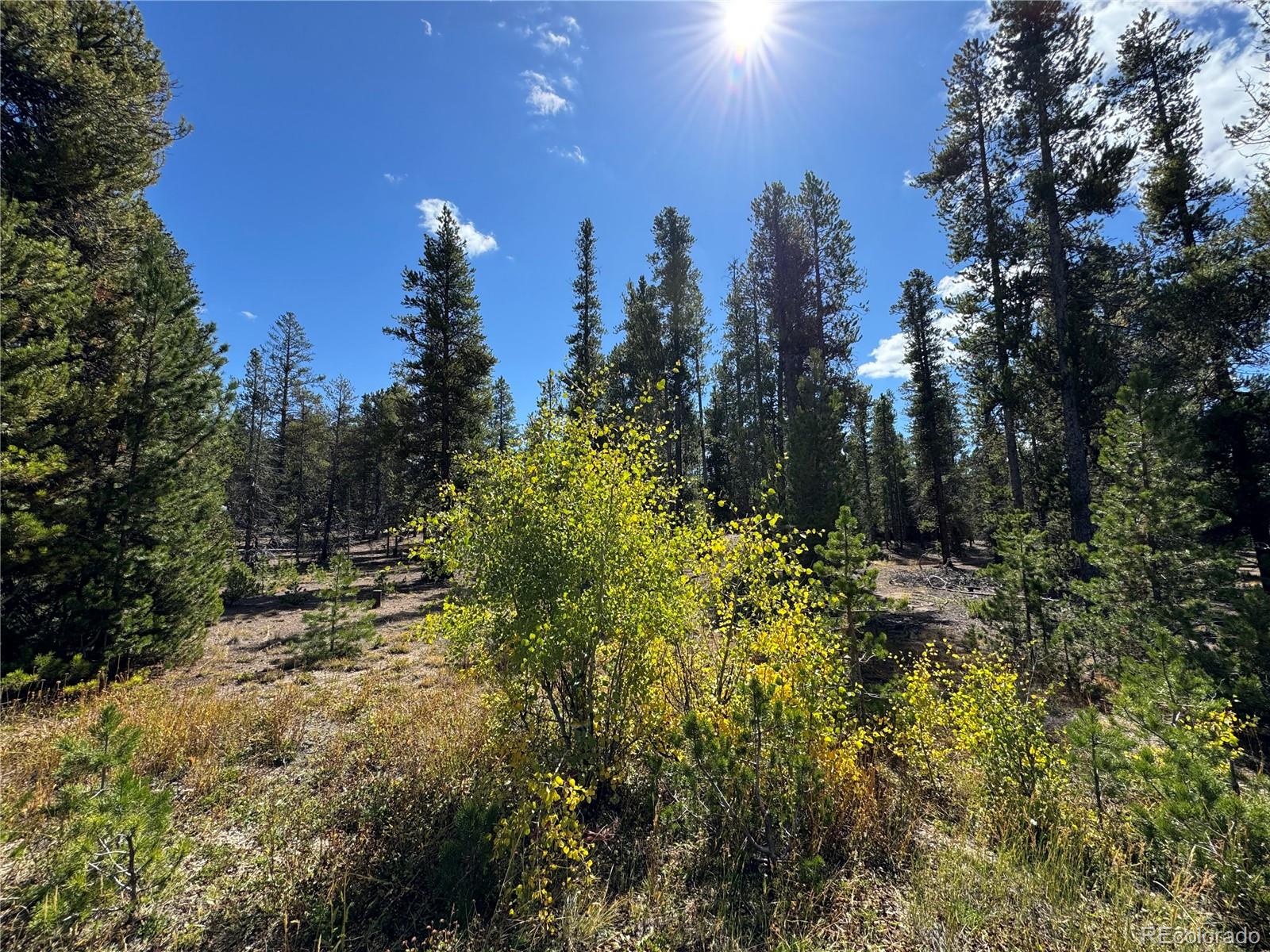 517 Augusta Drive Leadville CO 80461