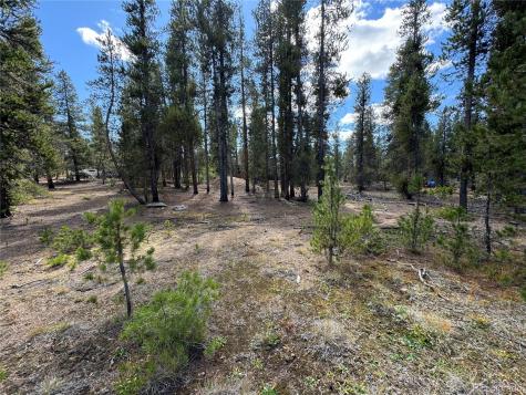 517 Augusta Drive Leadville CO 80461