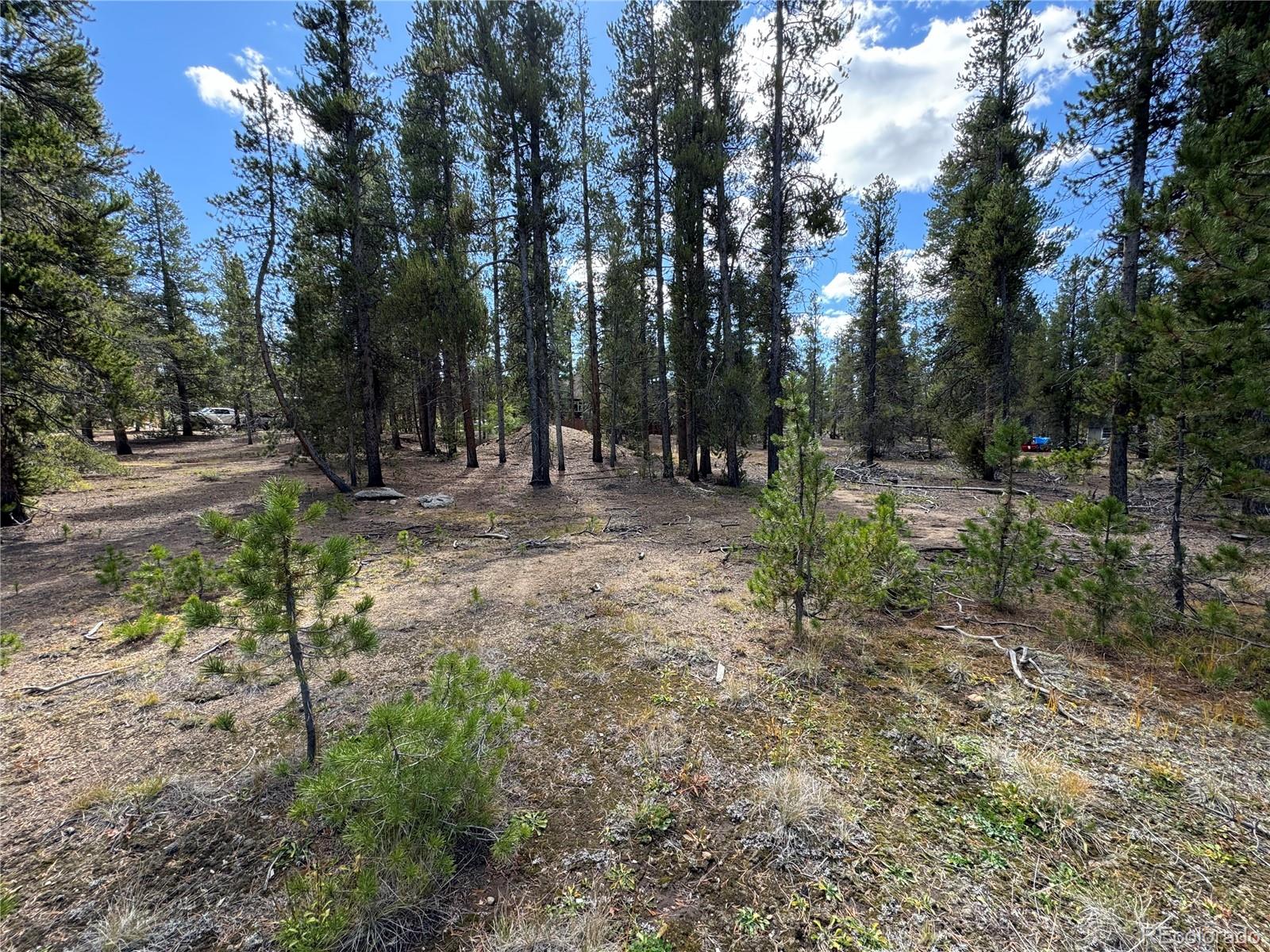 517 Augusta Drive Leadville CO 80461