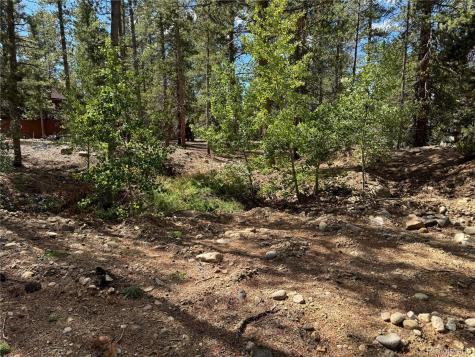 517 Augusta Drive Leadville CO 80461