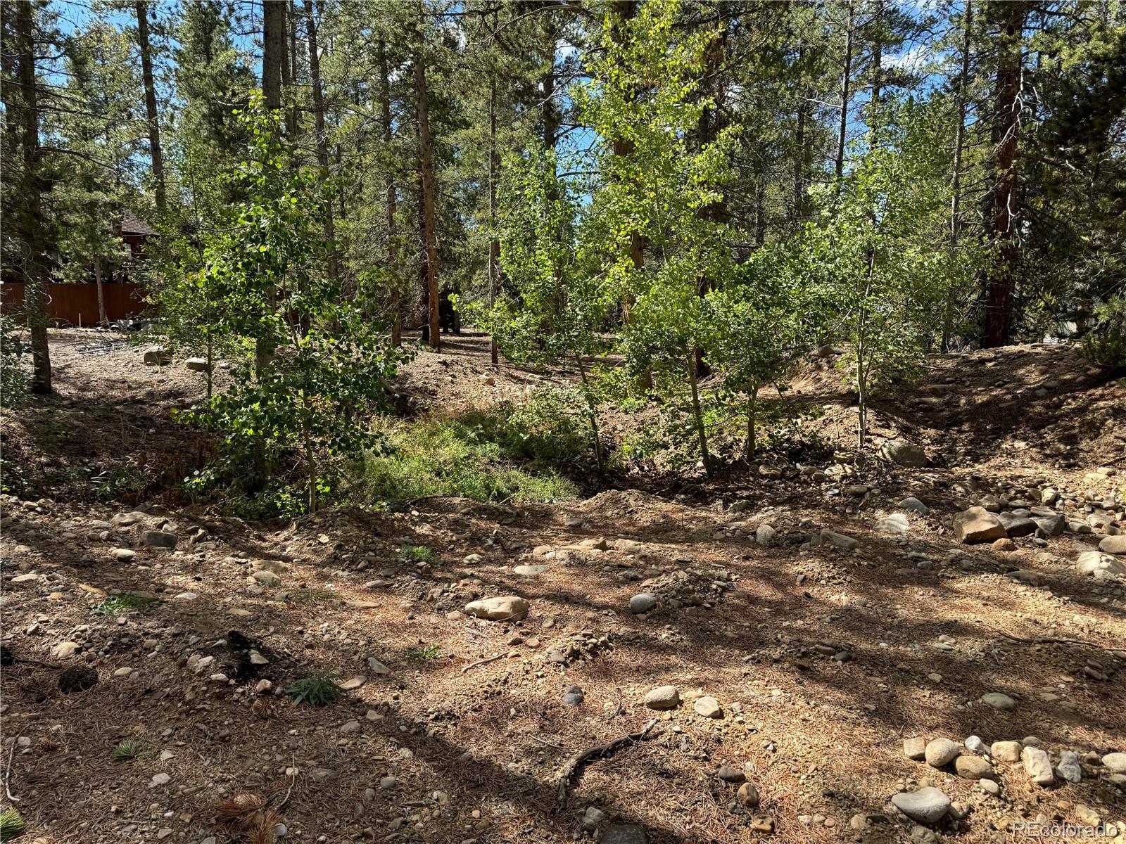 517 Augusta Drive Leadville CO 80461