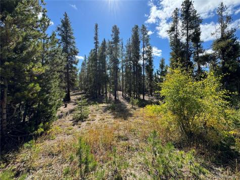517 Augusta Drive Leadville CO 80461