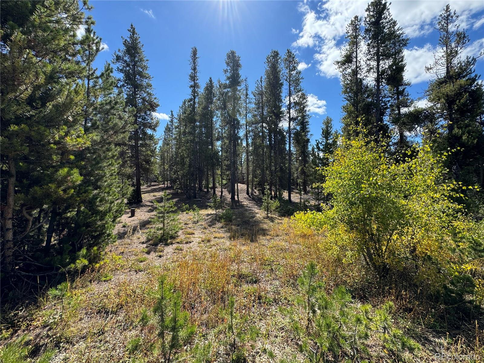 517 Augusta Drive Leadville CO 80461