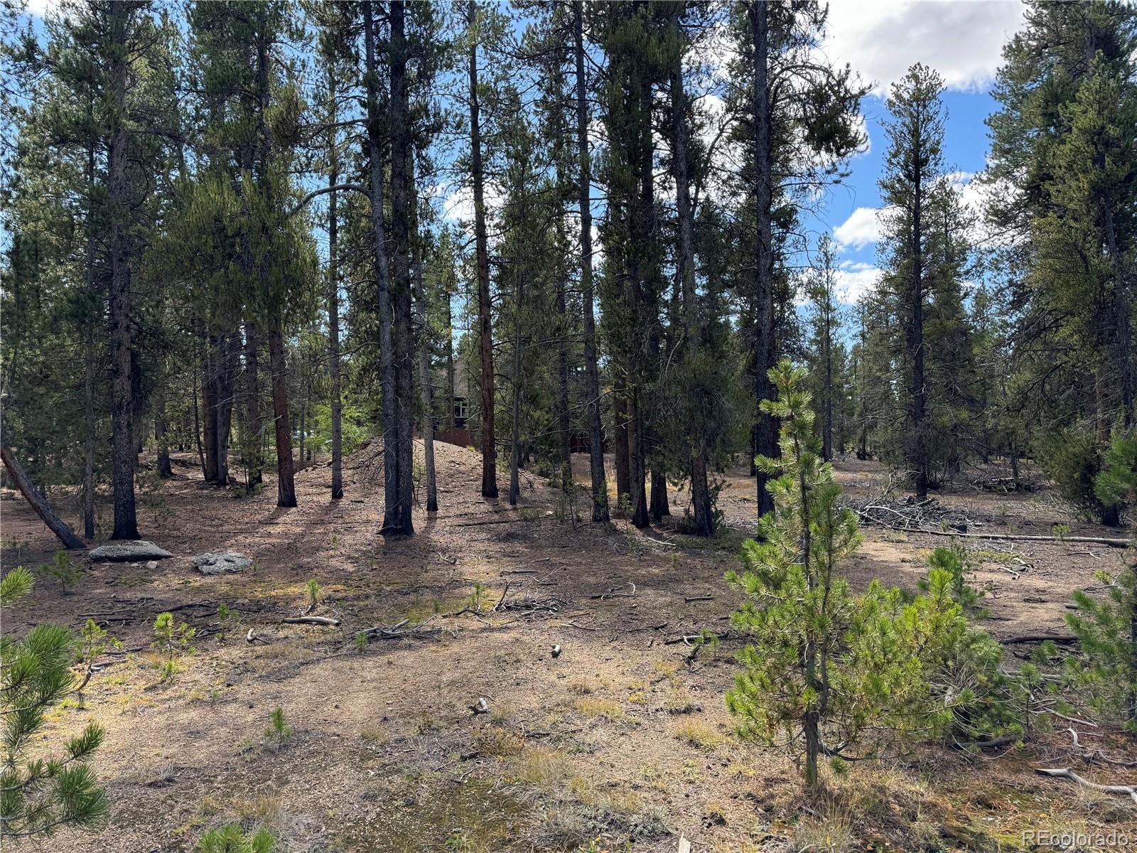 517 Augusta Drive Leadville CO 80461