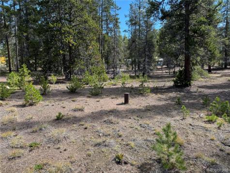 517 Augusta Drive Leadville CO 80461