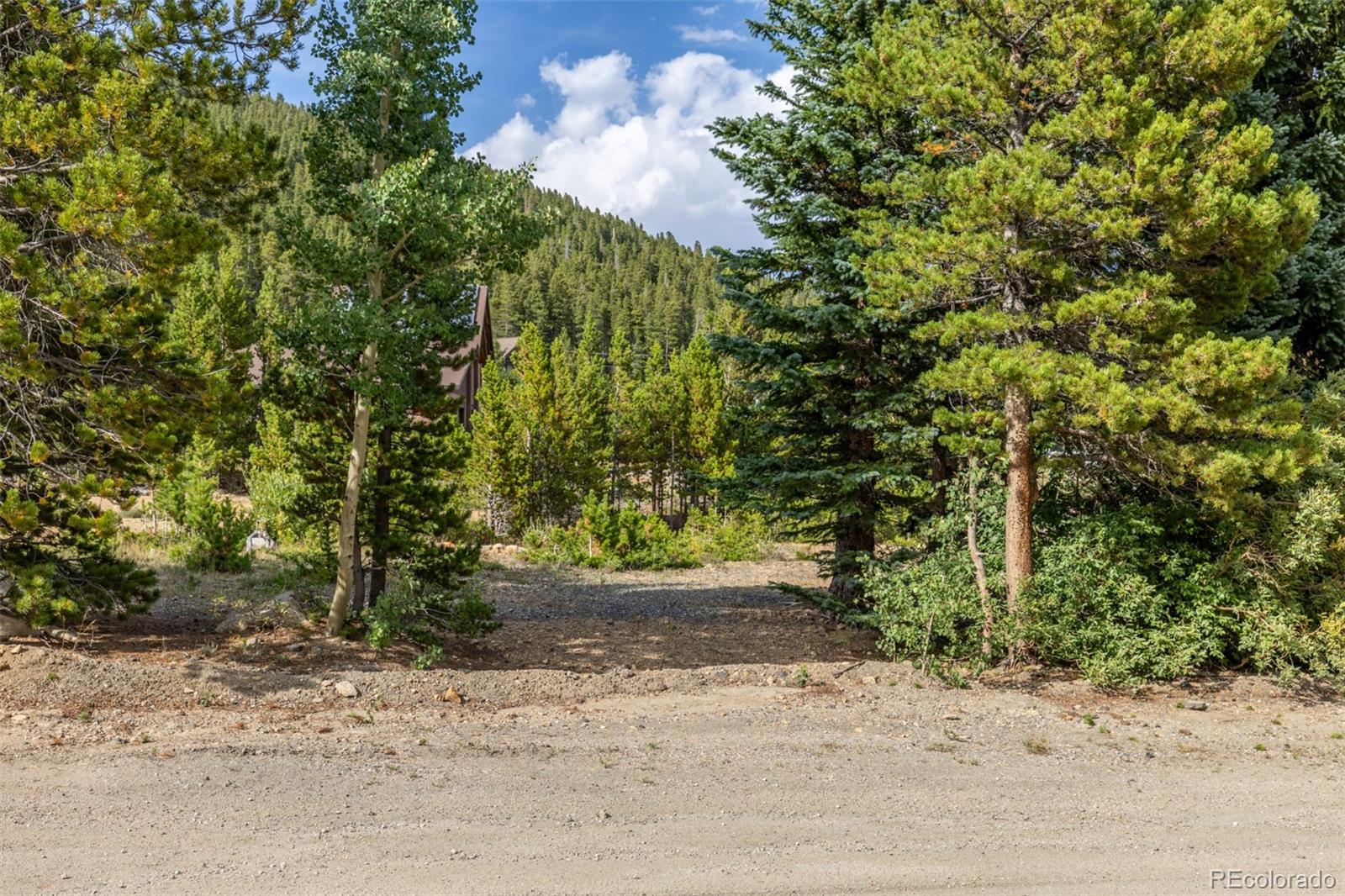 Beaver Road Idaho Springs CO 80452