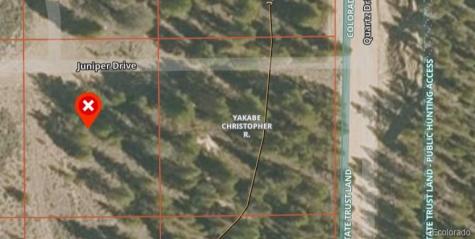 28 Juniper Drive Twin Lakes CO 81251