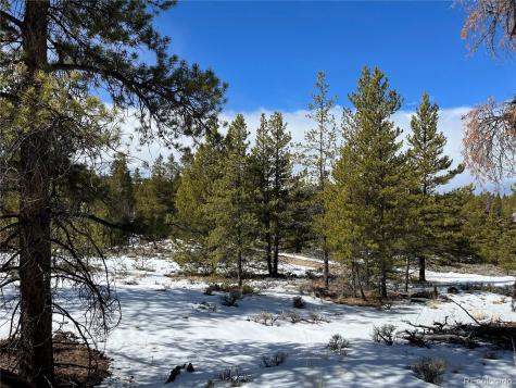 28 Juniper Drive Twin Lakes CO 81251
