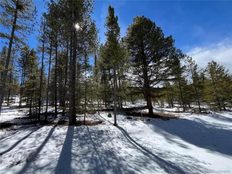 28 Juniper Drive Twin Lakes CO 81251