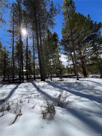 28 Juniper Drive Twin Lakes CO 81251