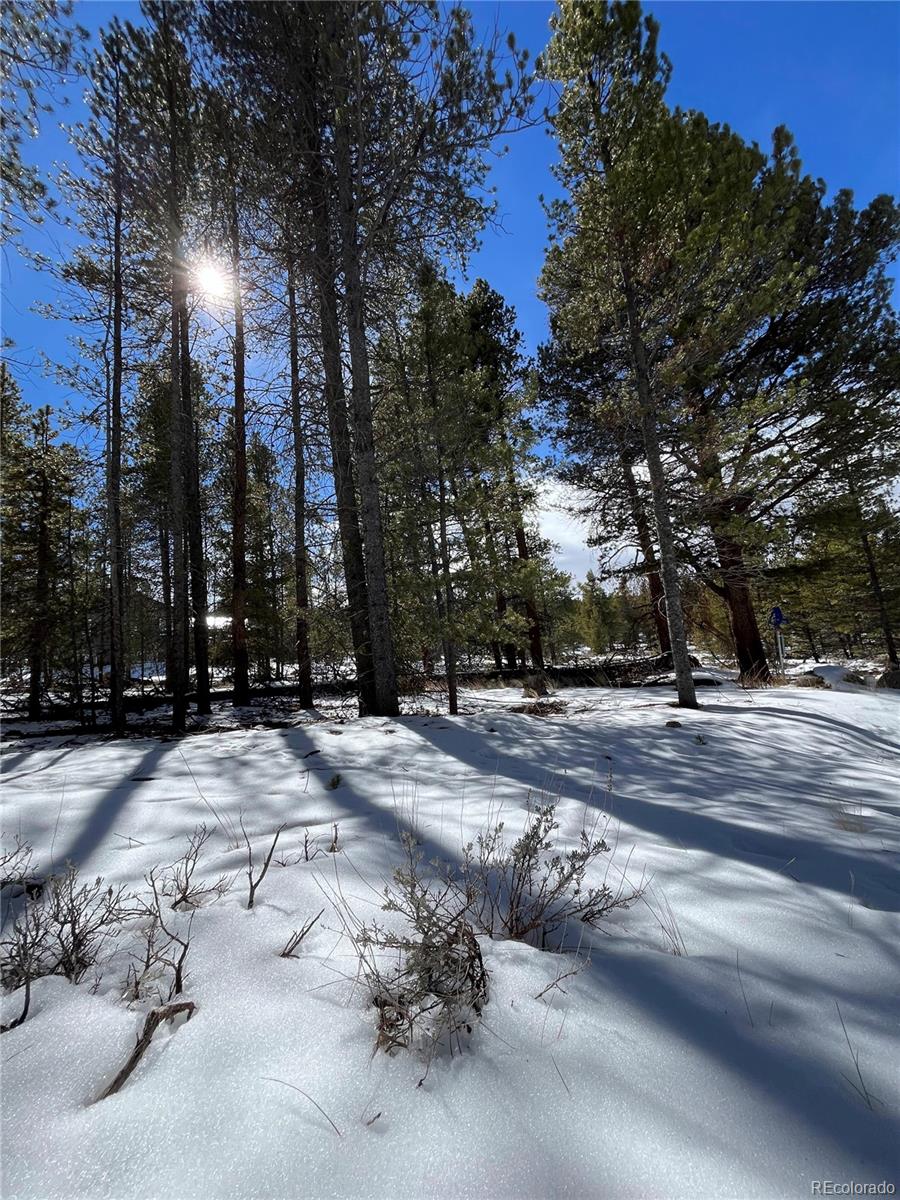 28 Juniper Drive Twin Lakes CO 81251