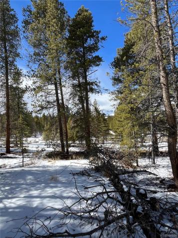 28 Juniper Drive Twin Lakes CO 81251