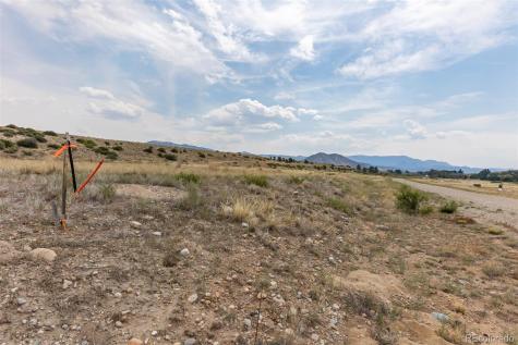 24286 River Rock Lane Buena Vista CO 81211