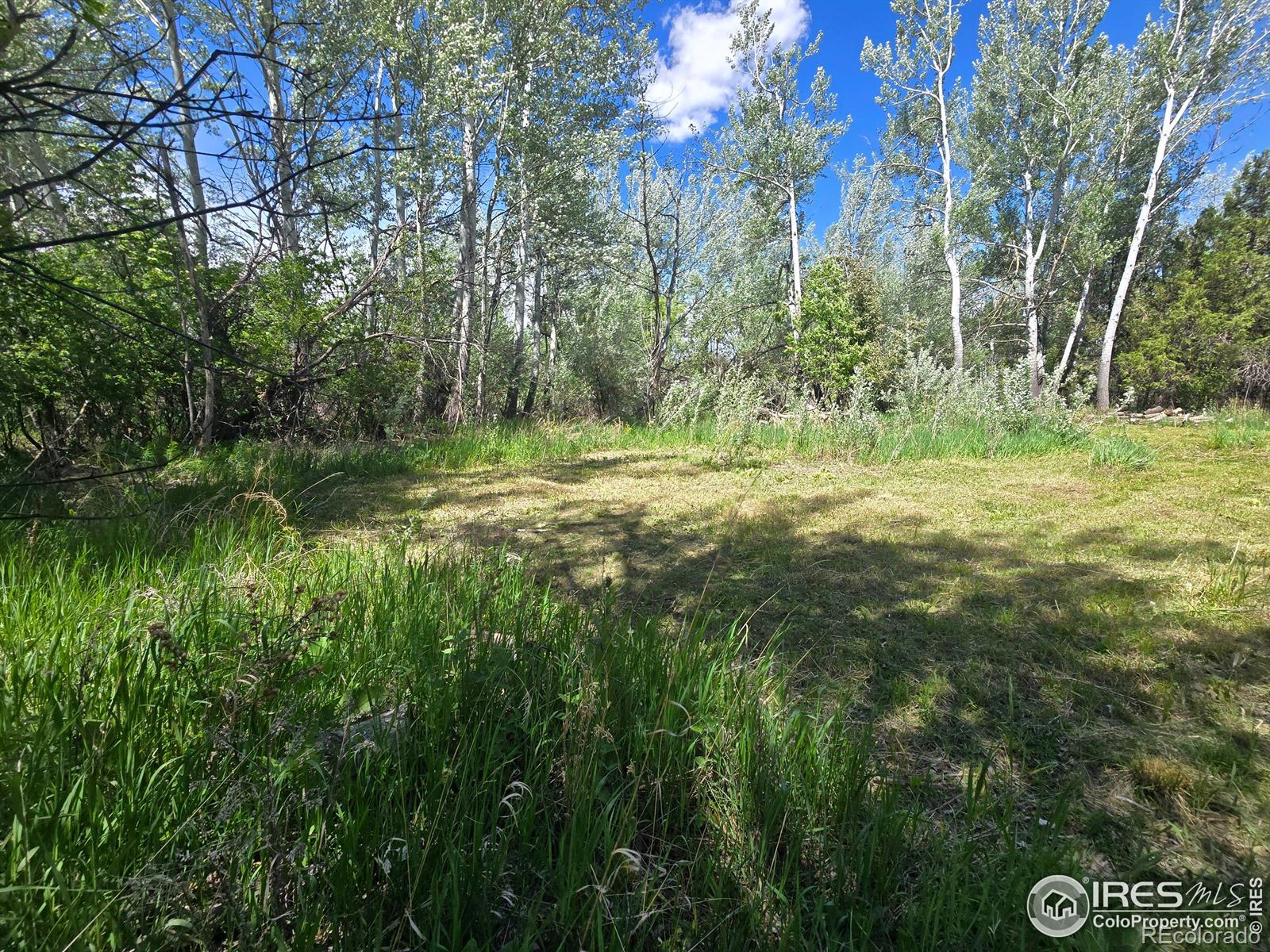 2001 W Prospect Road Fort Collins CO 80526