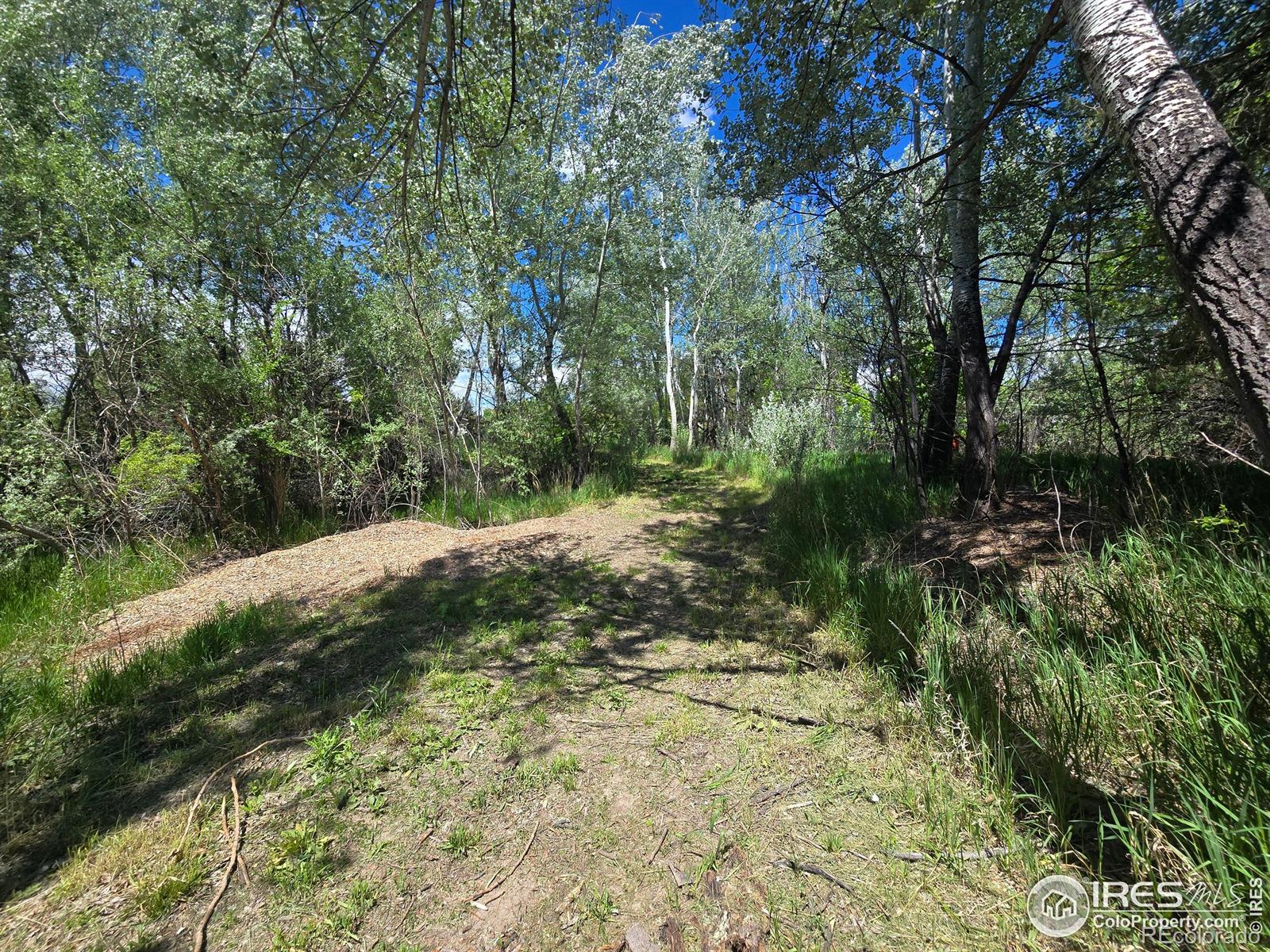 2001 W Prospect Road Fort Collins CO 80526