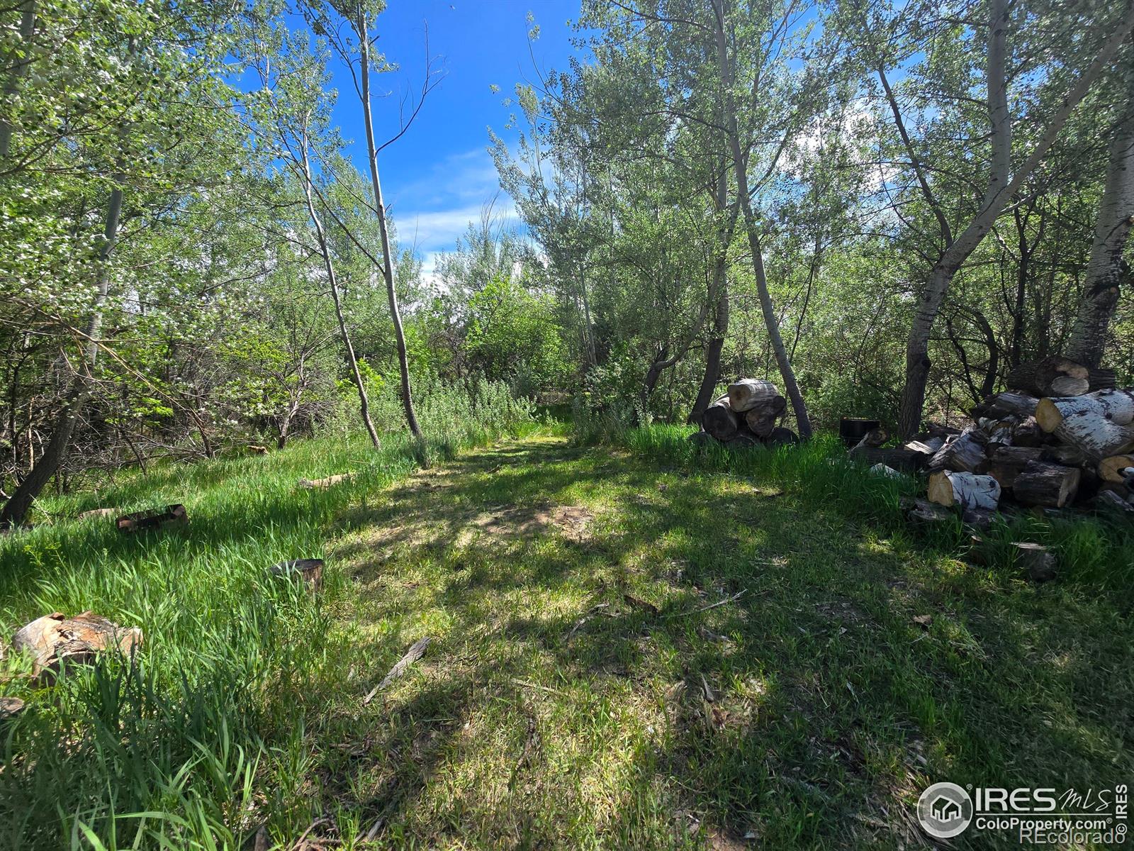 2001 W Prospect Road Fort Collins CO 80526