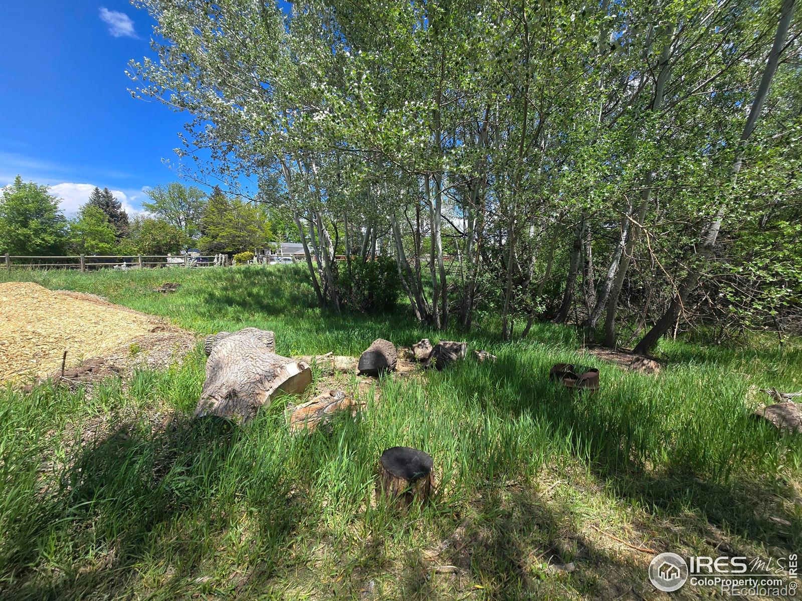2001 W Prospect Road Fort Collins CO 80526