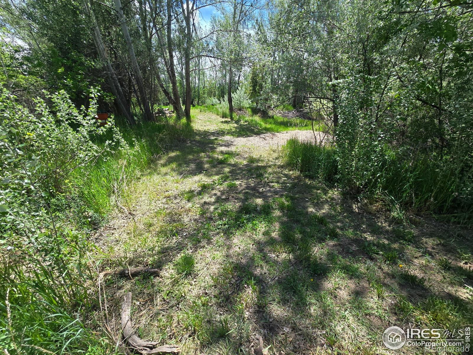 2001 W Prospect Road Fort Collins CO 80526