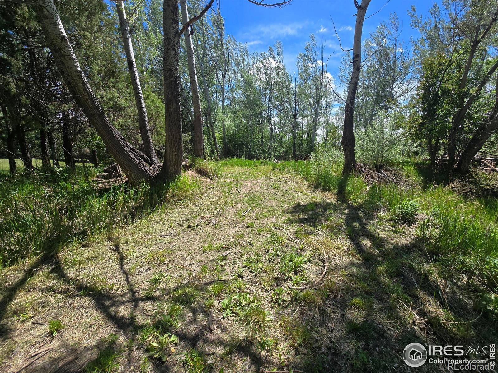 2001 W Prospect Road Fort Collins CO 80526