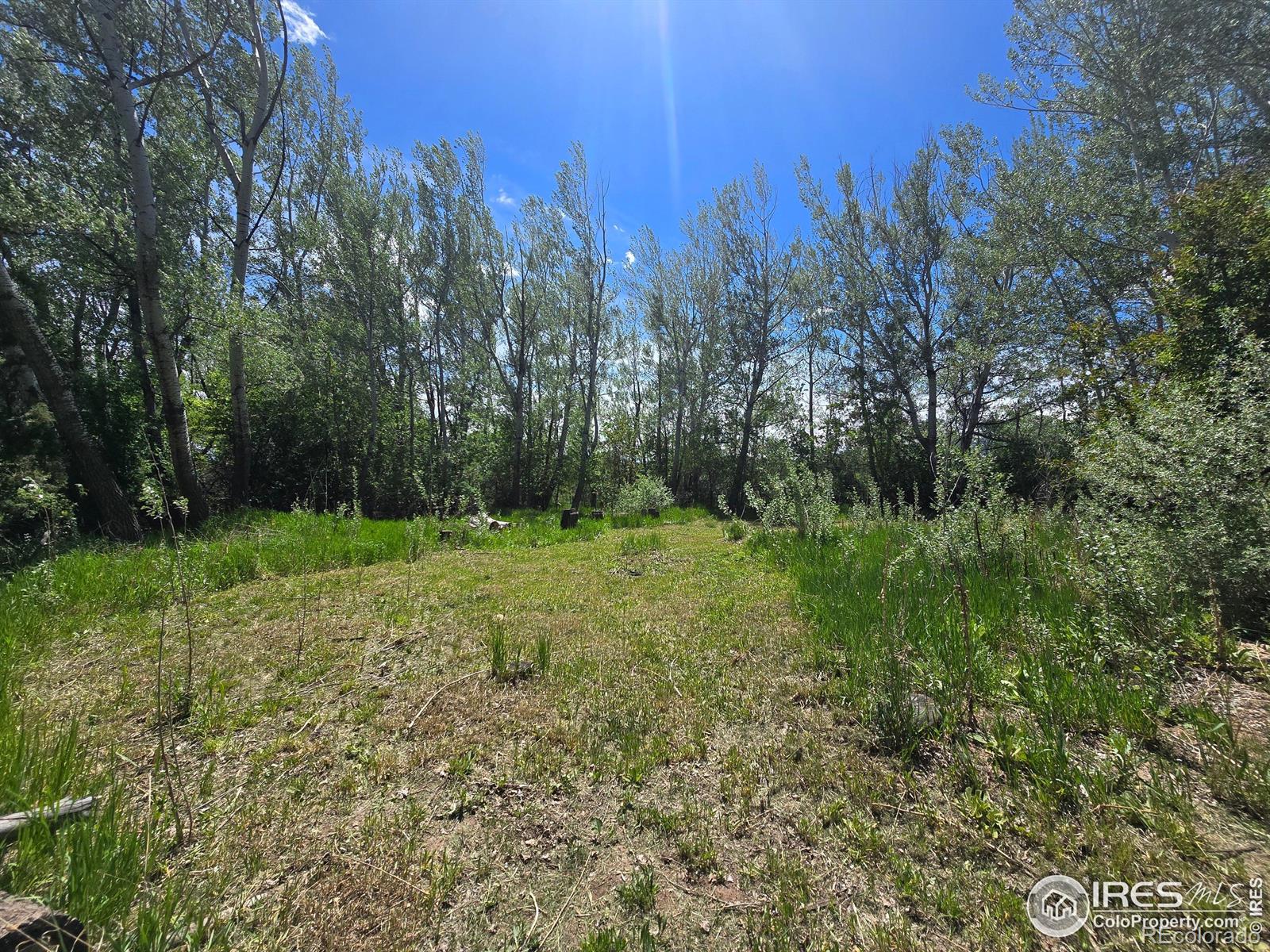 2001 W Prospect Road Fort Collins CO 80526