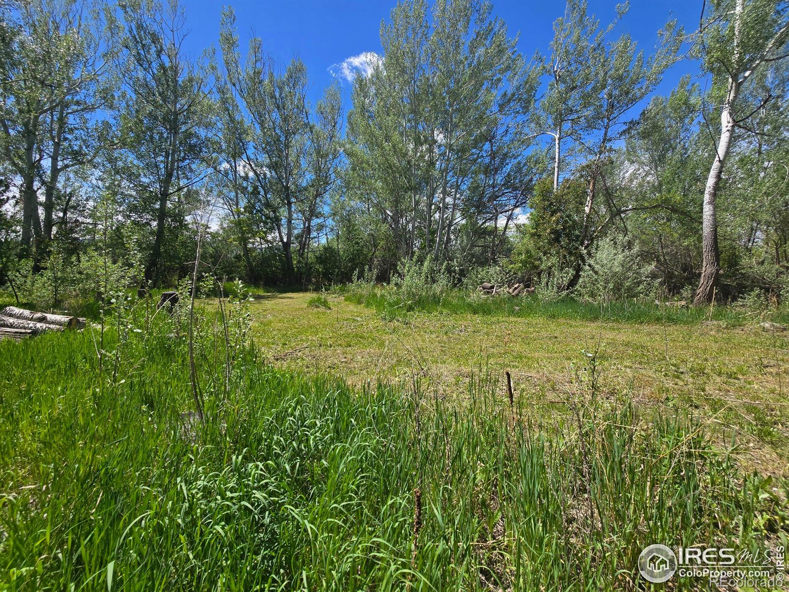 2001 W Prospect Road Fort Collins CO 80526