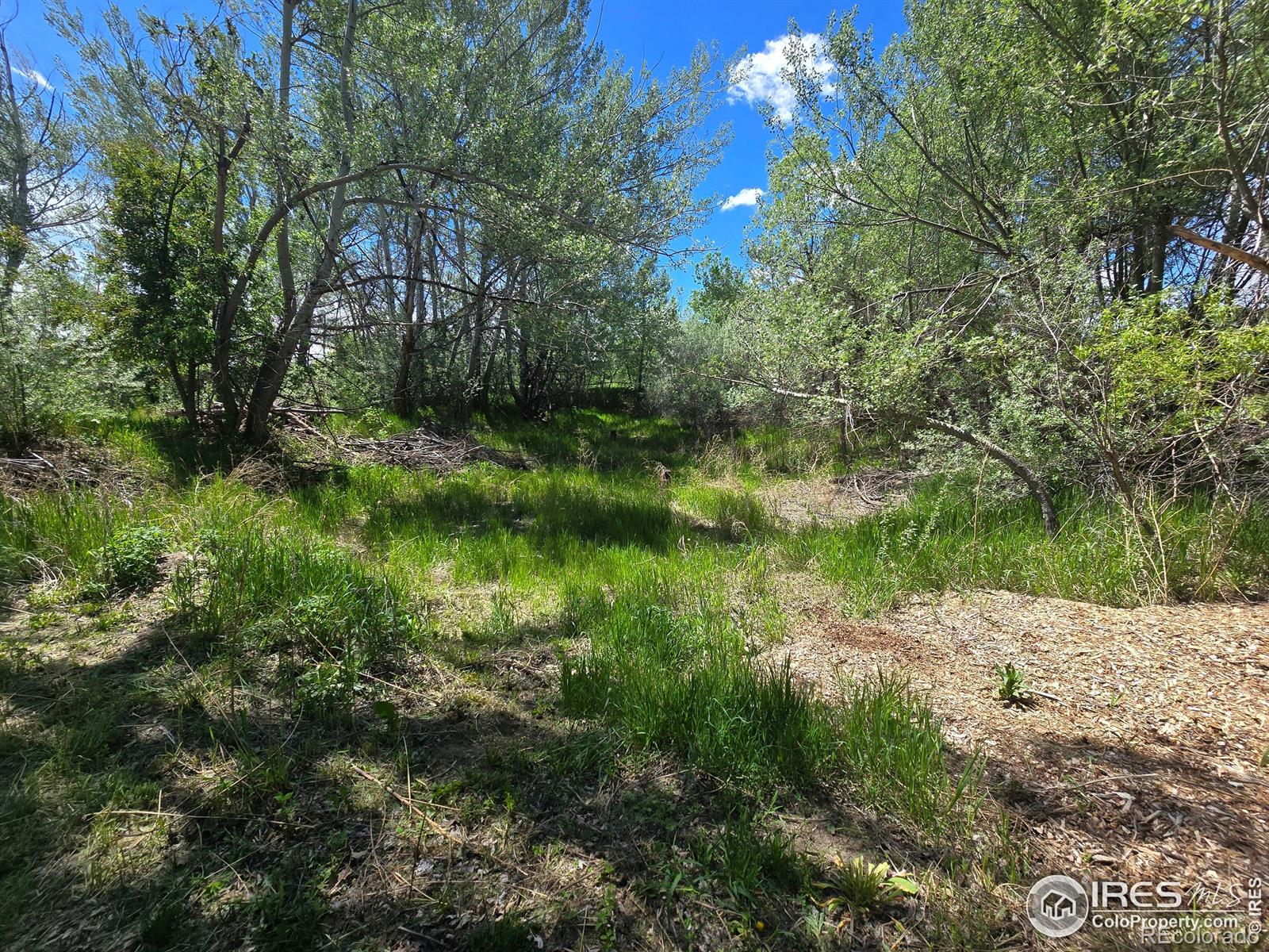2001 W Prospect Road Fort Collins CO 80526
