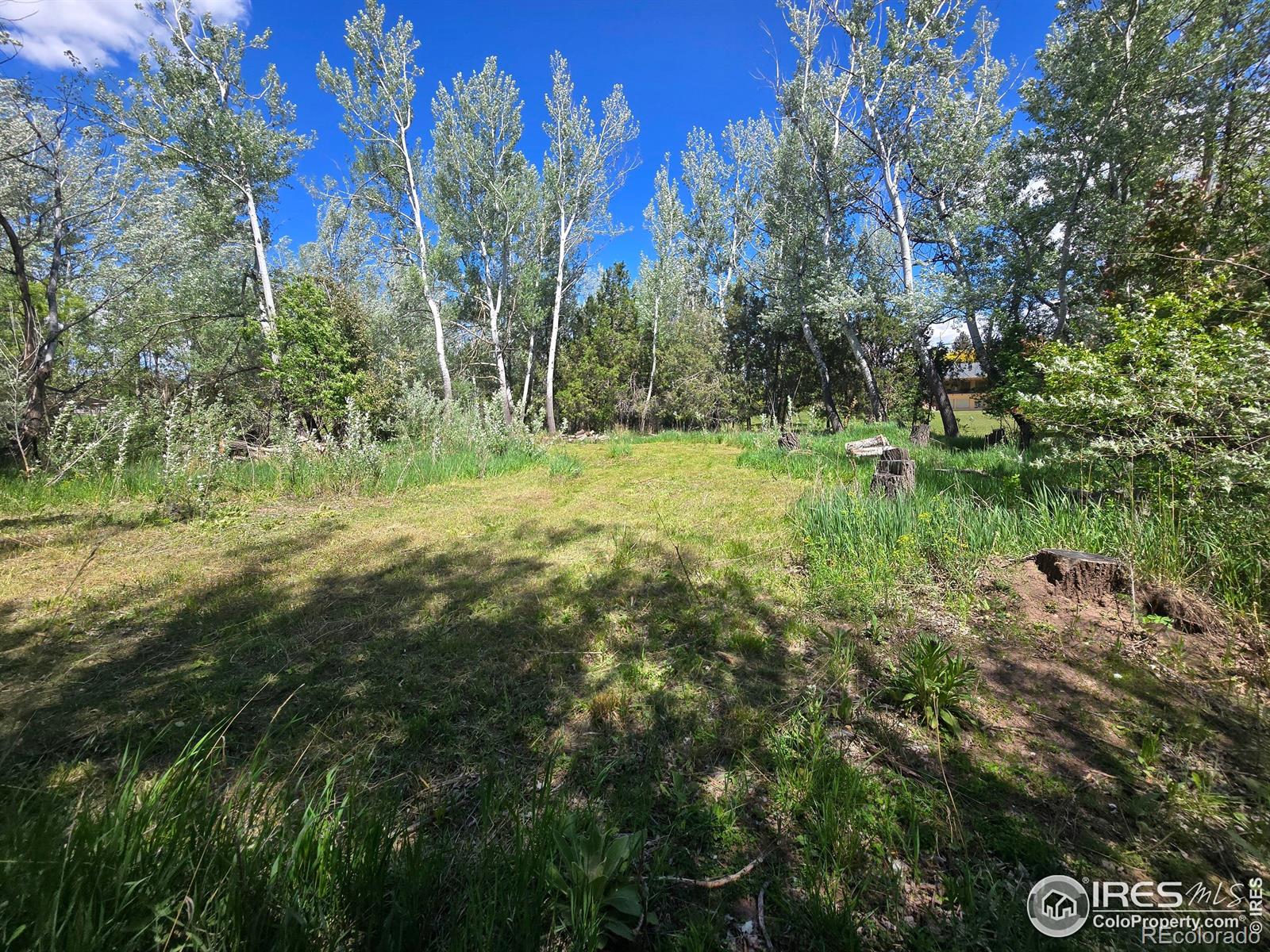 2001 W Prospect Road Fort Collins CO 80526