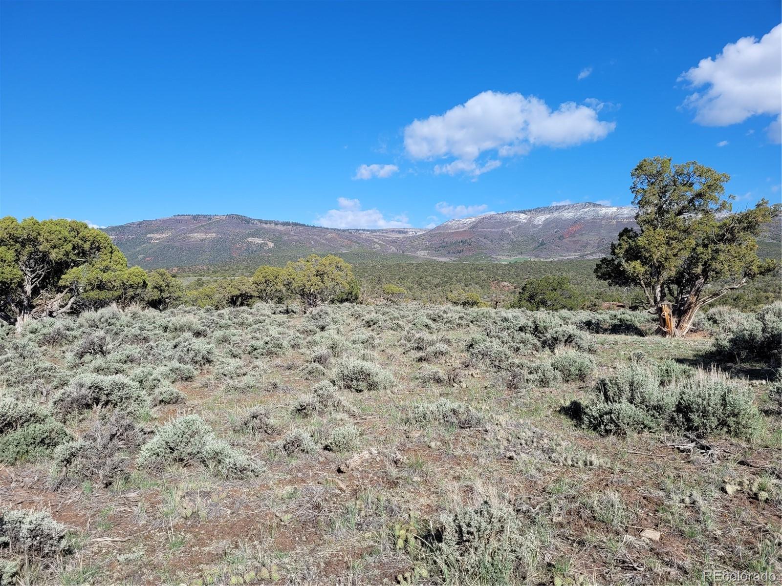 755 Pinon Crest Way Toponas CO 80479