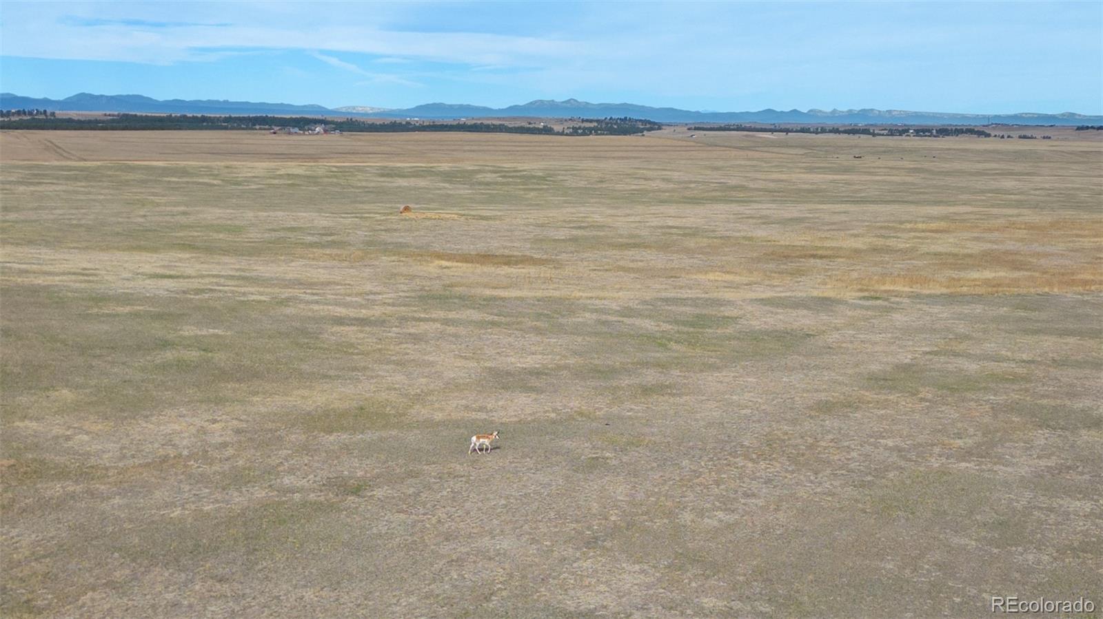 Parcel #1 County Road 94 Elbert CO 80106