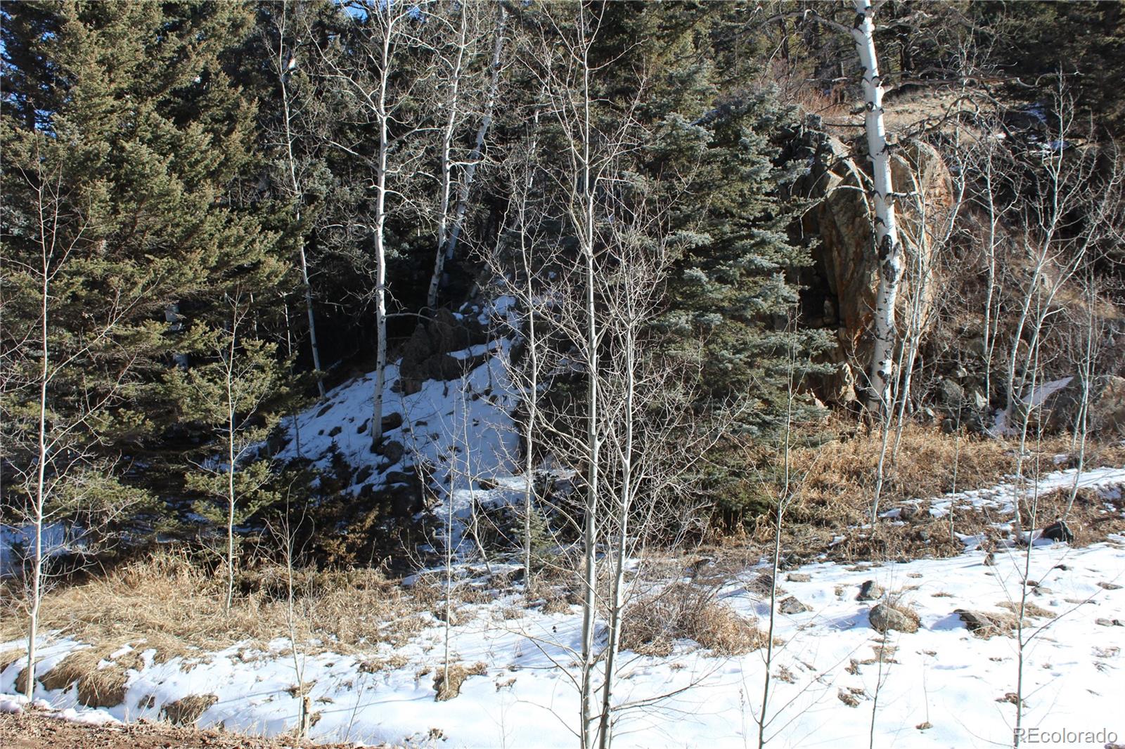 Lot 1 Co Road 358 Westcliffe CO 81252