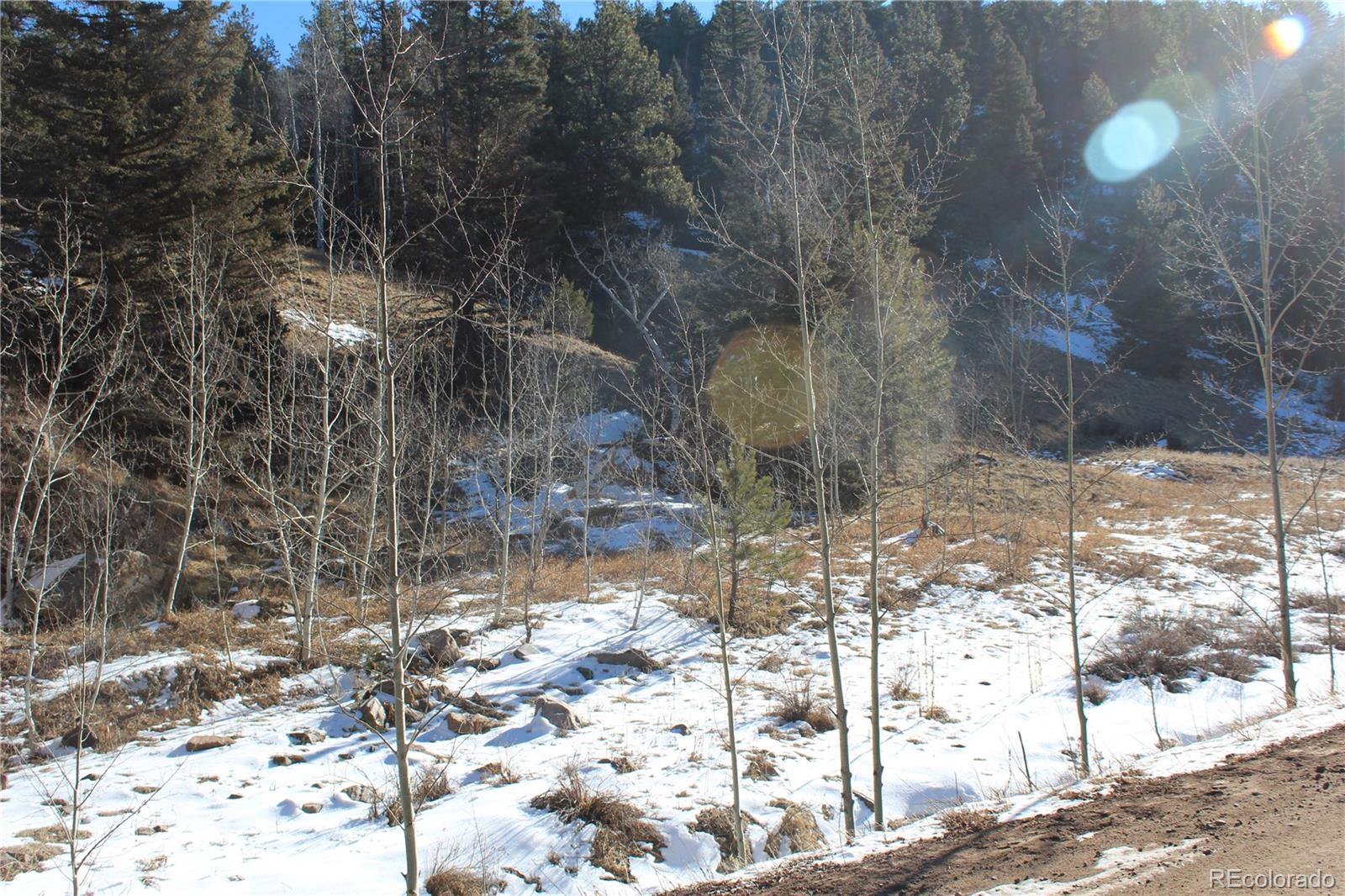 Lot 1 Co Road 358 Westcliffe CO 81252