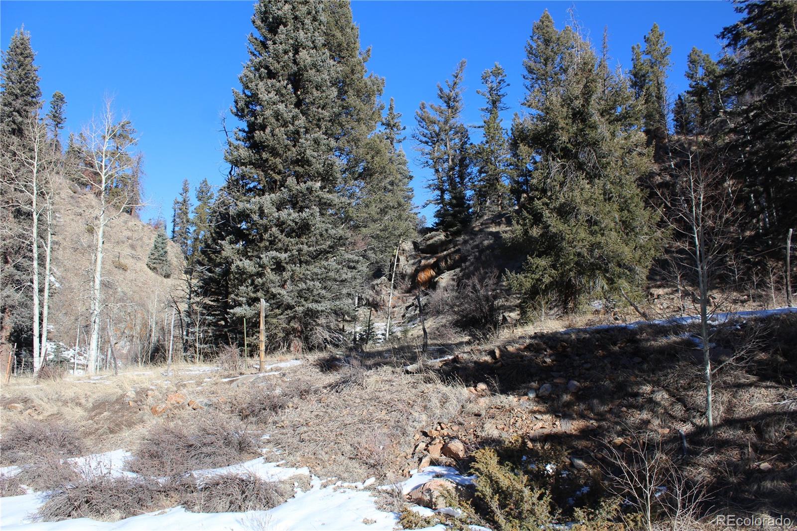 Lot 1 Co Road 358 Westcliffe CO 81252