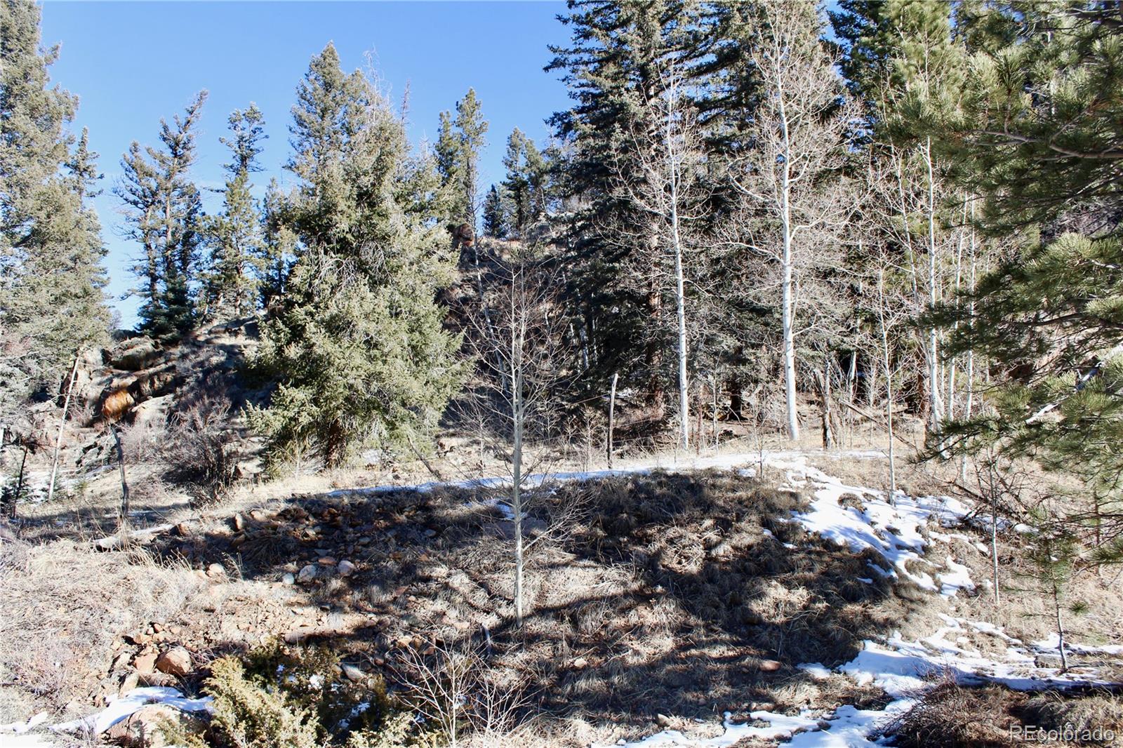 Lot 1 Co Road 358 Westcliffe CO 81252
