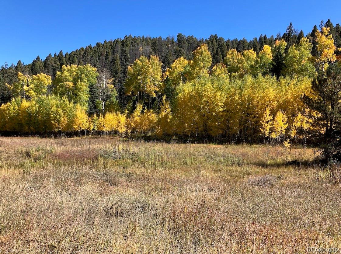 Lot 1 Co Road 358 Westcliffe CO 81252