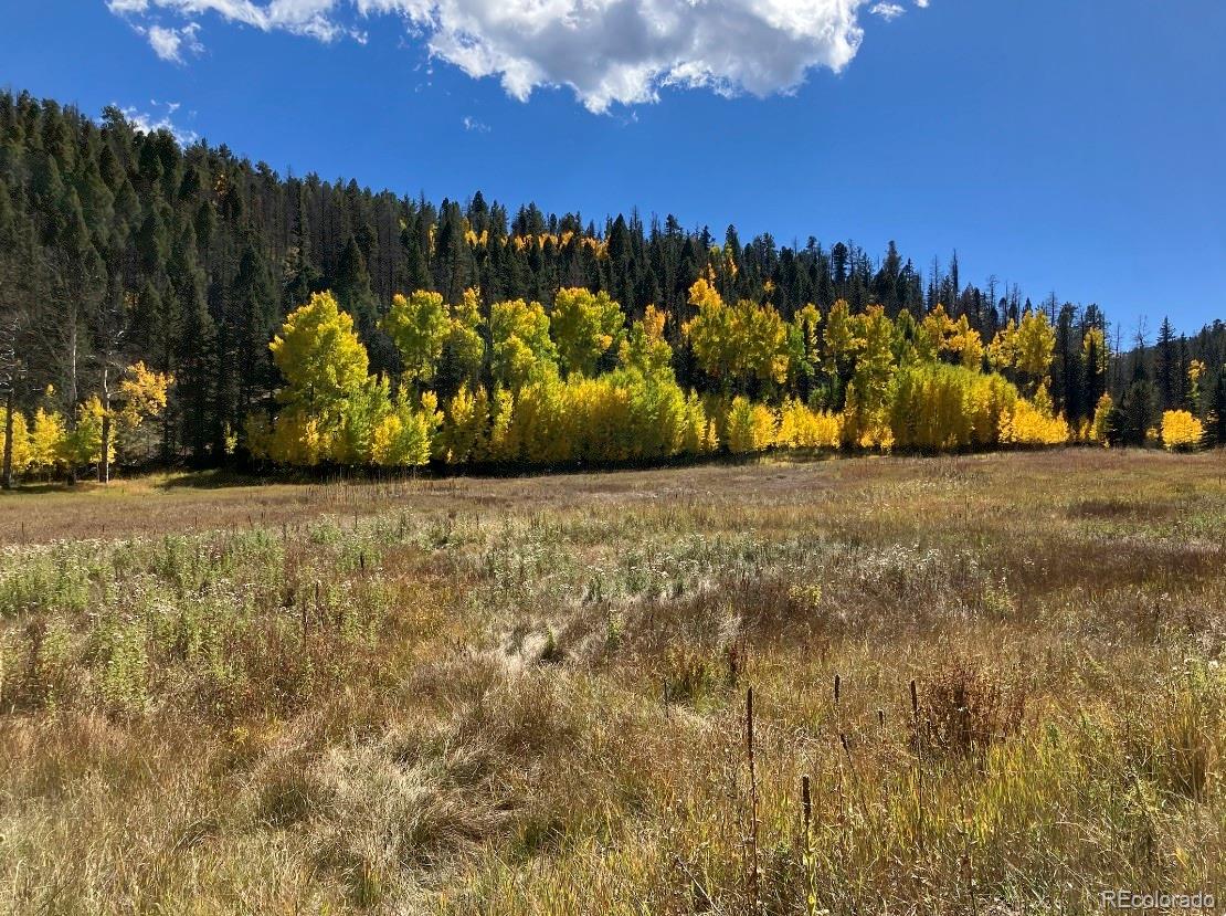 Lot 1 Co Road 358 Westcliffe CO 81252