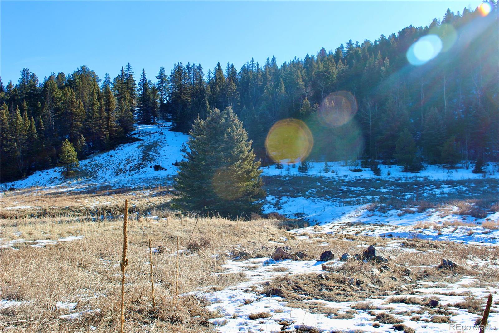 Lot 1 Co Road 358 Westcliffe CO 81252