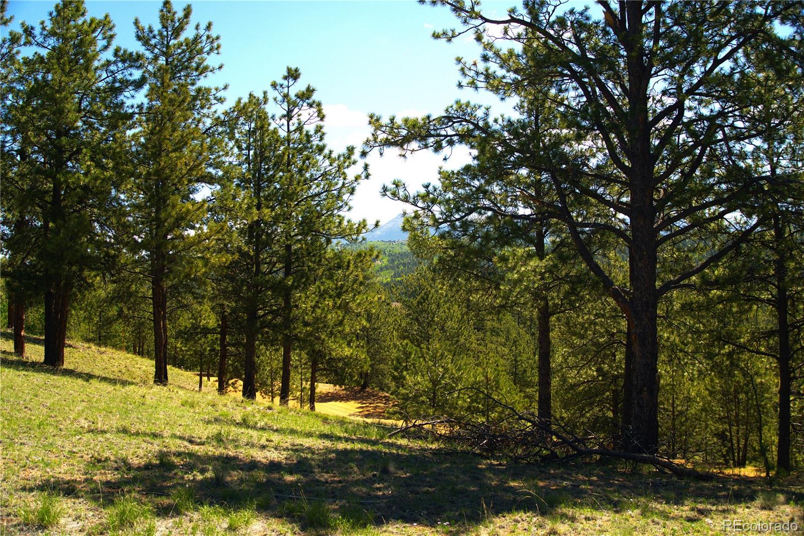 29 Dexter Circle Cripple Creek CO 80813