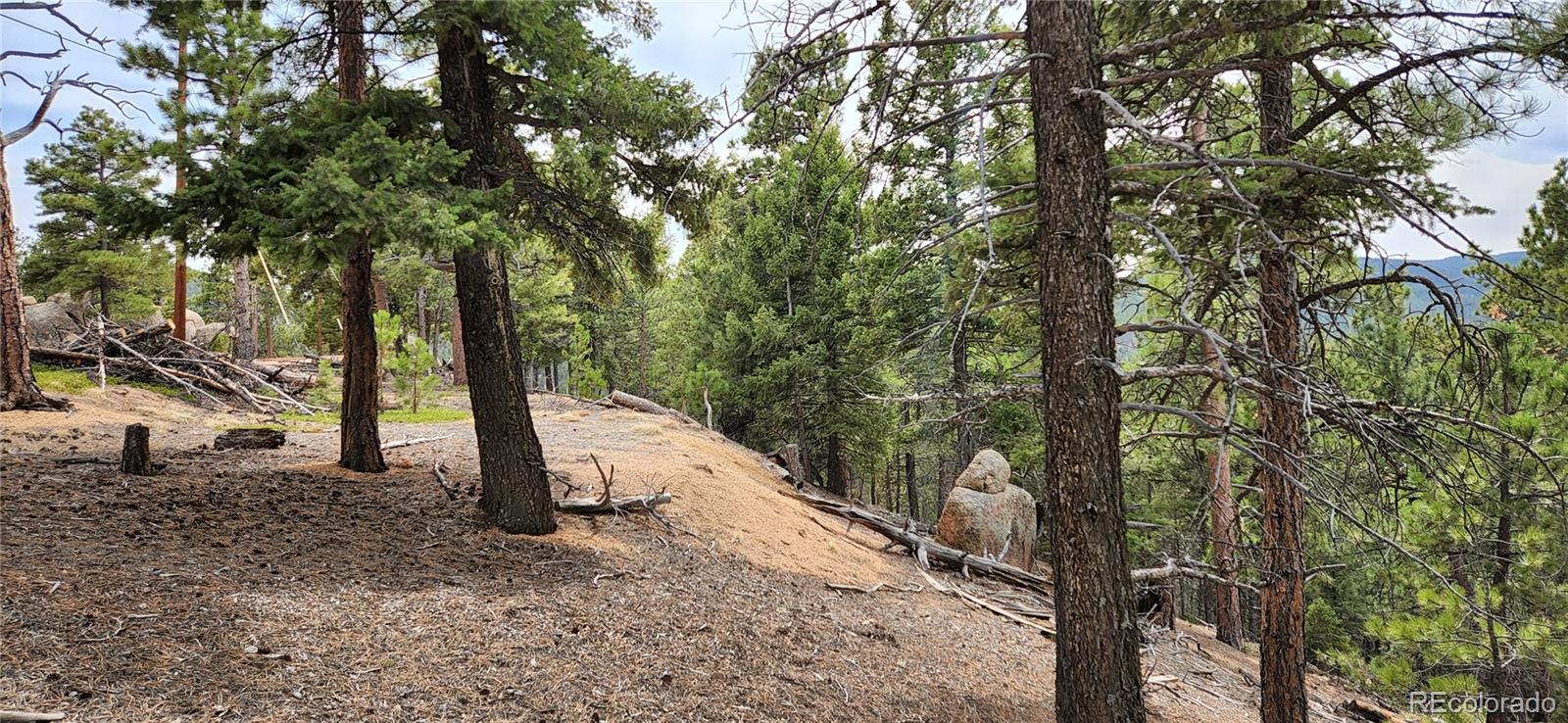 13985 Boulder Lane Larkspur CO 80118