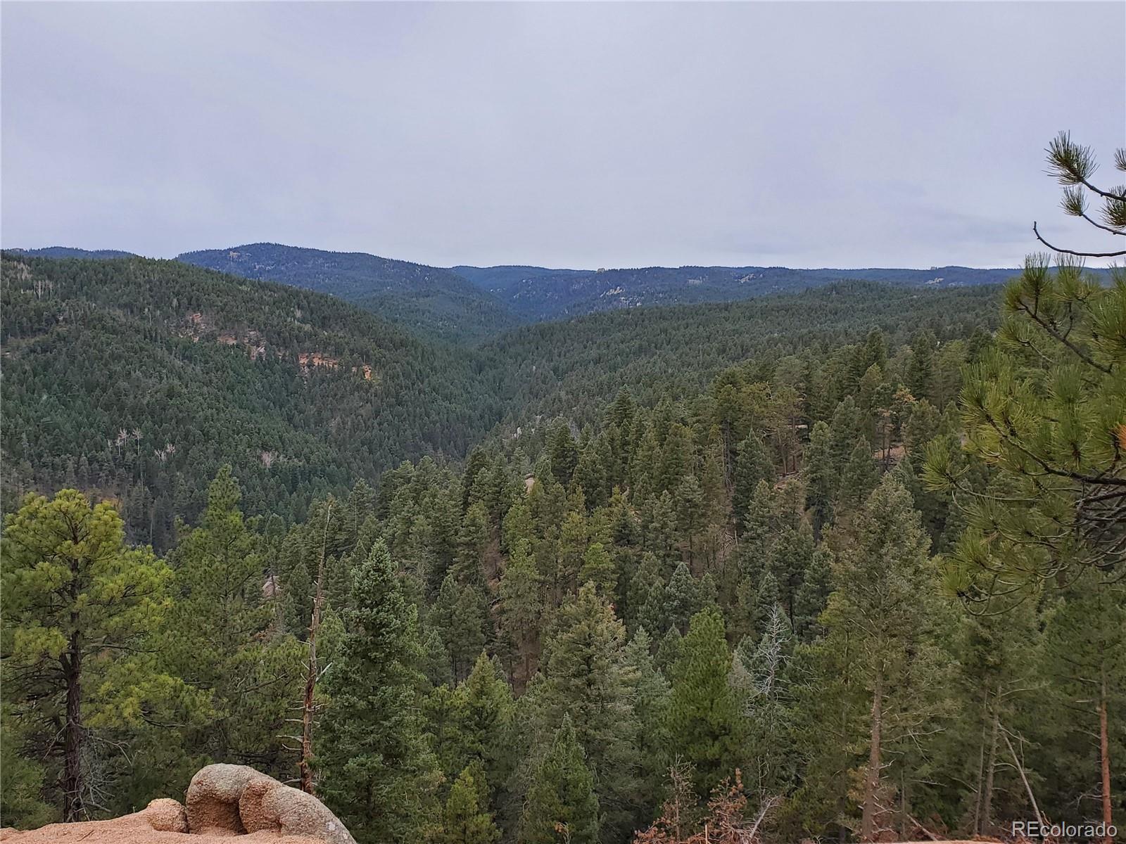 13985 Boulder Lane Larkspur CO 80118