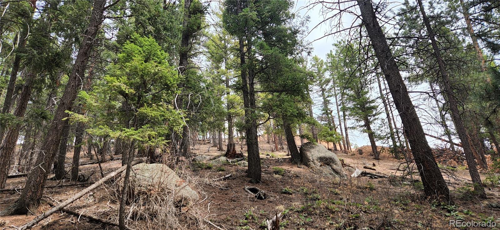 13985 Boulder Lane Larkspur CO 80118