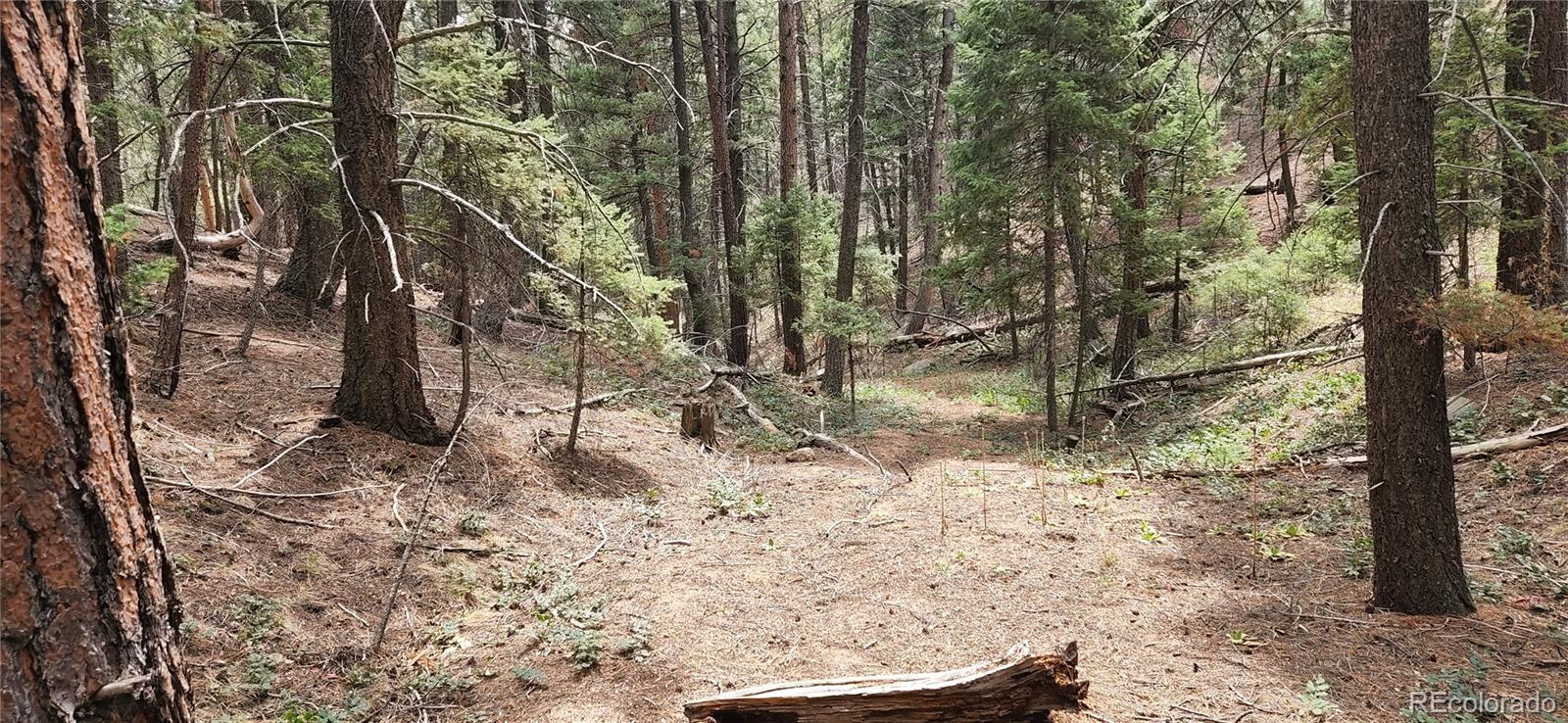 13985 Boulder Lane Larkspur CO 80118
