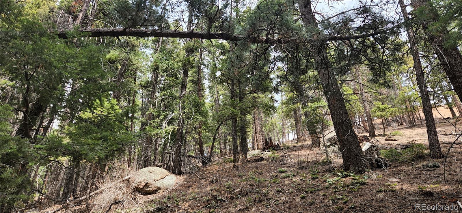 13985 Boulder Lane Larkspur CO 80118