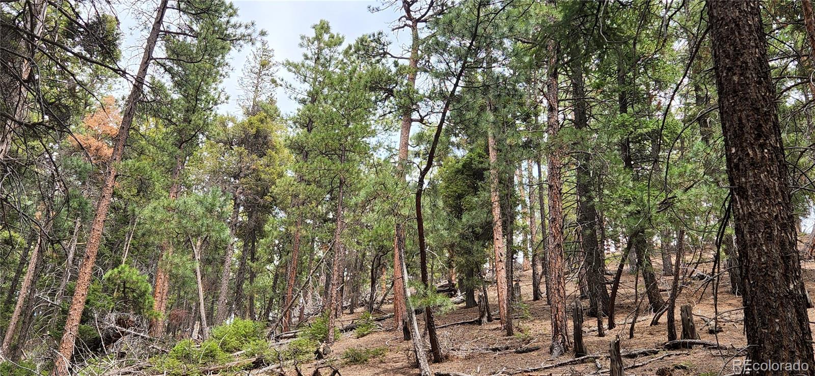13985 Boulder Lane Larkspur CO 80118