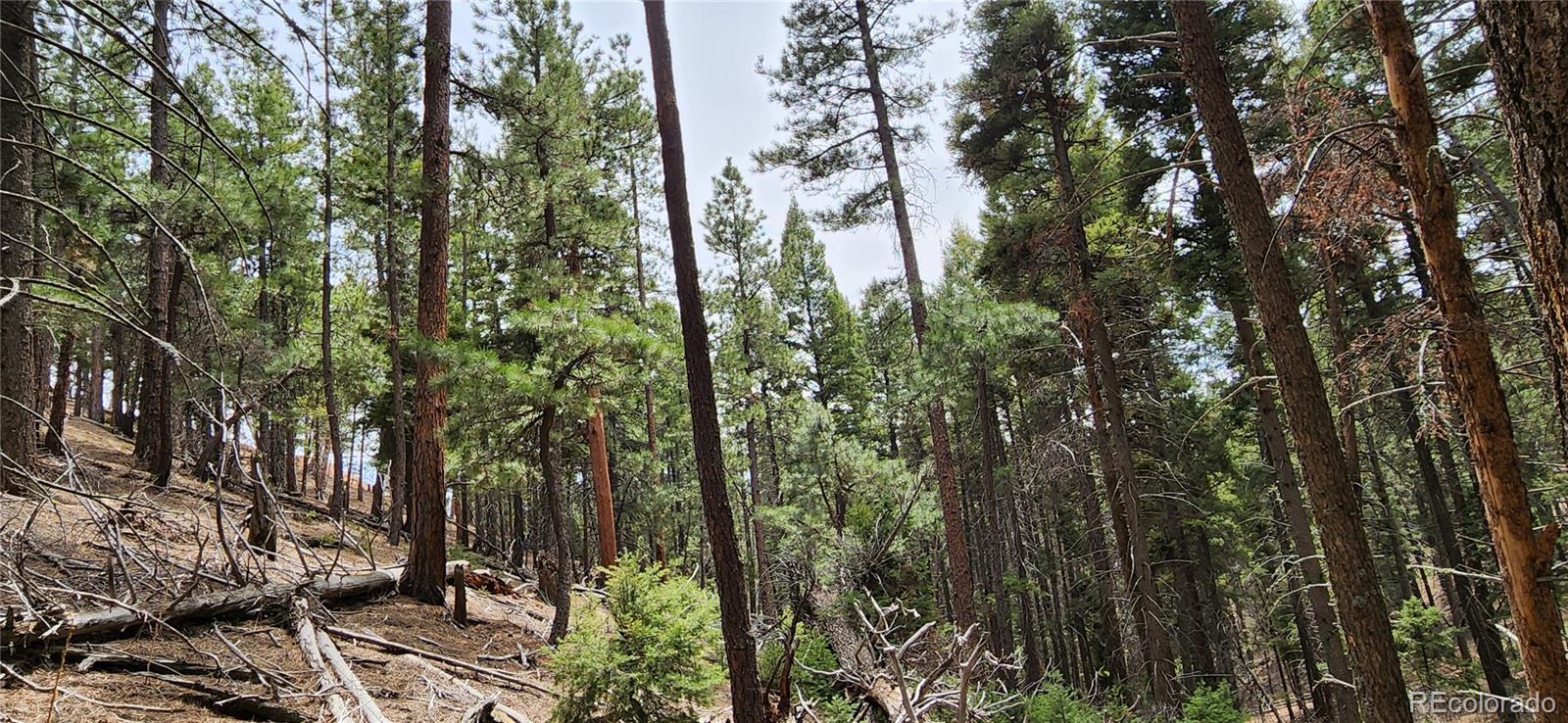 13985 Boulder Lane Larkspur CO 80118