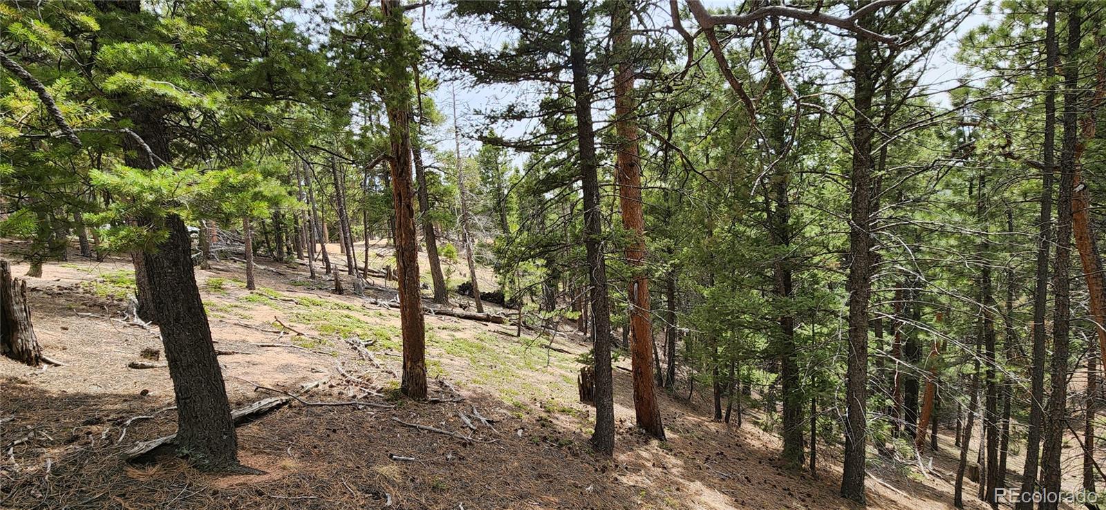 13985 Boulder Lane Larkspur CO 80118