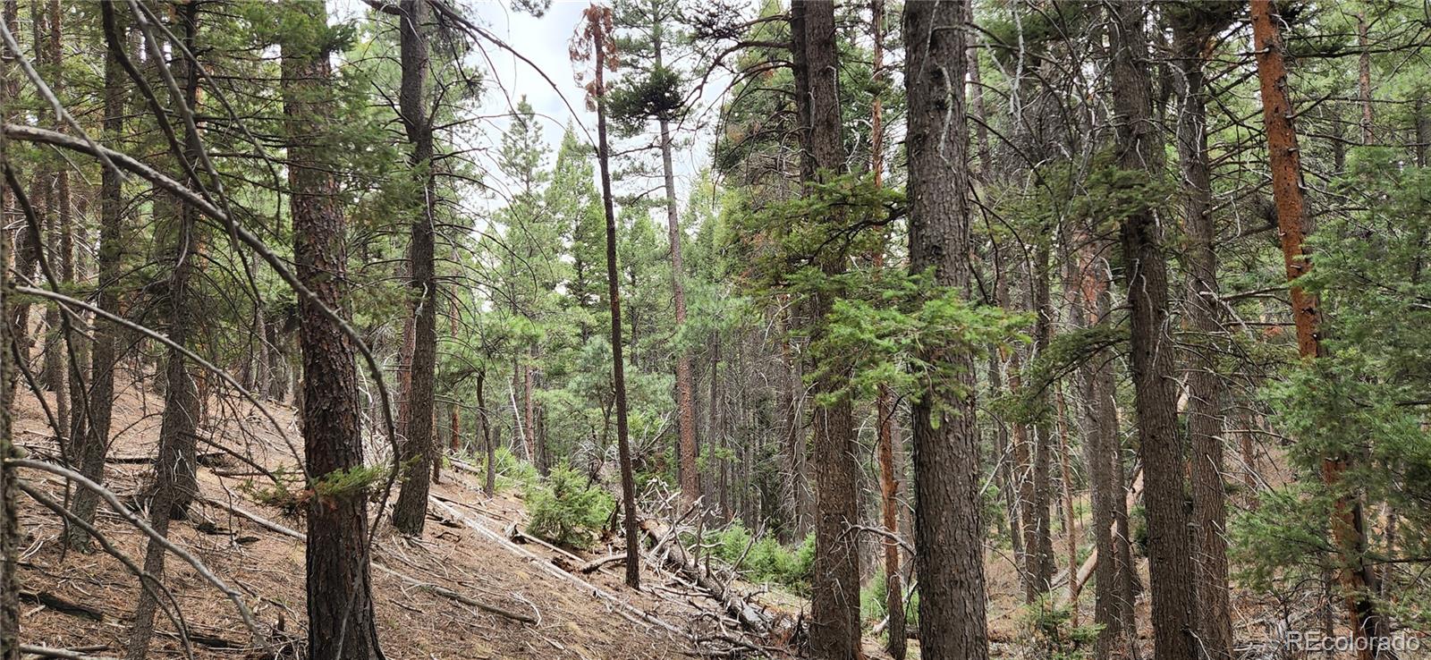 13985 Boulder Lane Larkspur CO 80118