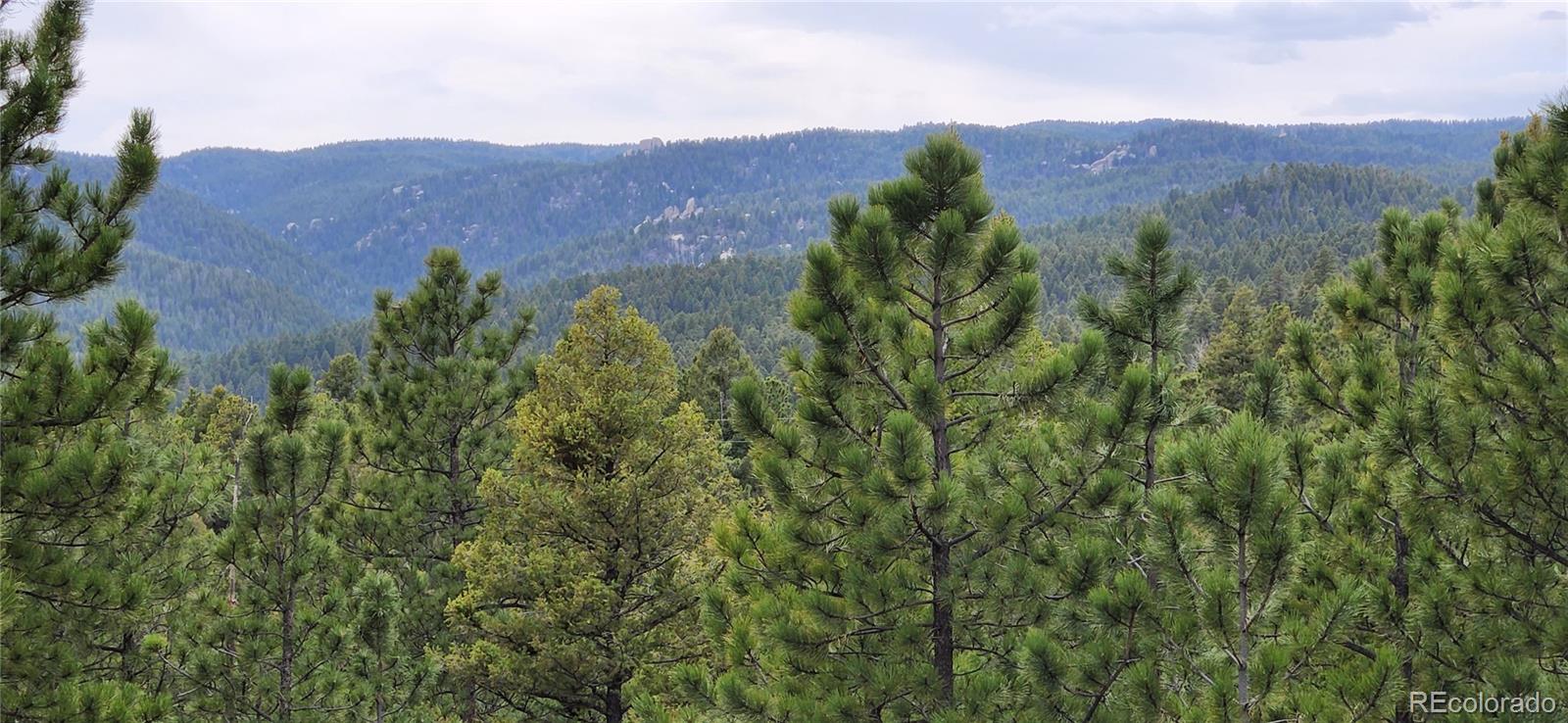 13985 Boulder Lane Larkspur CO 80118