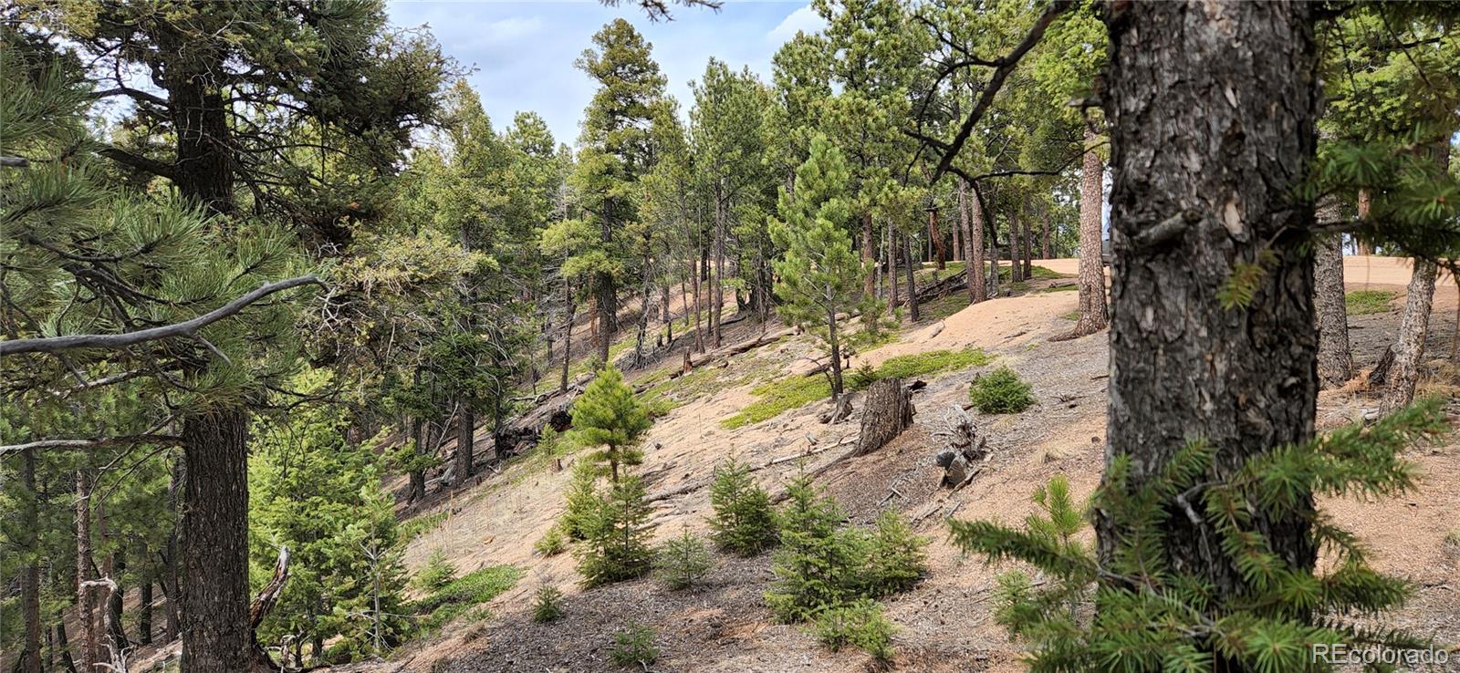 13985 Boulder Lane Larkspur CO 80118
