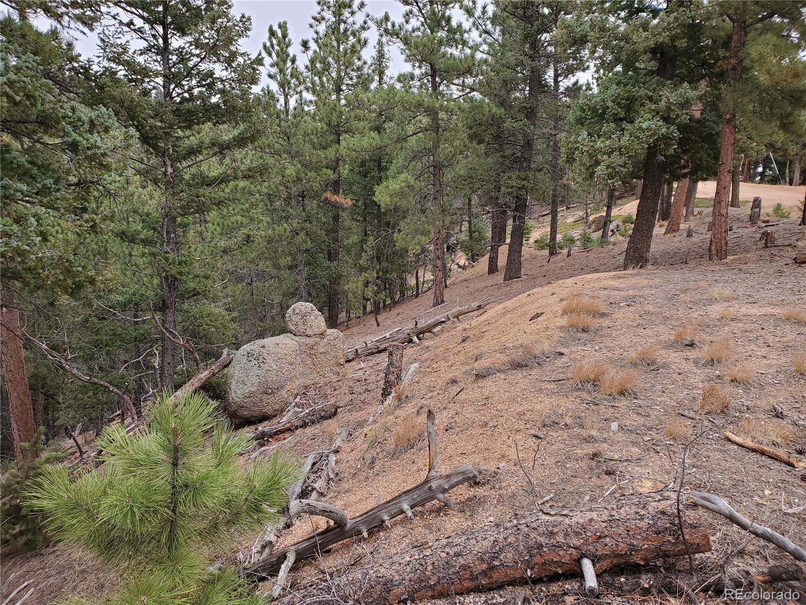 13985 Boulder Lane Larkspur CO 80118